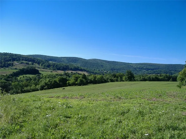 Ploss Rd Lot 2, Richmondville, NY 12149