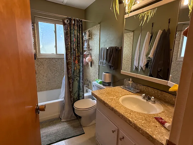 Hall bathroom