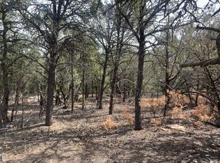 44 Tina Rd, Edgewood, NM 87015