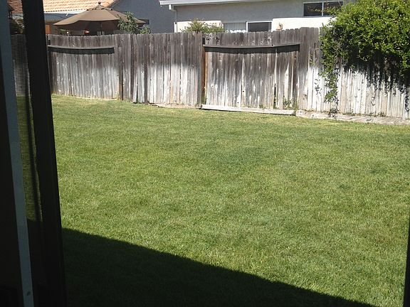 photo(17)