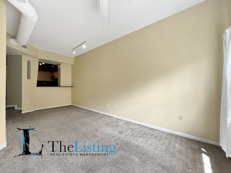 2411 W Horatio St #532 — Photo 10