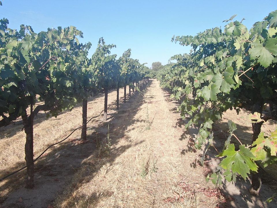 23181 N Davis Rd, Lodi, CA 95242 MLS 223071367 Zillow