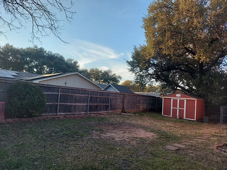 Backyard