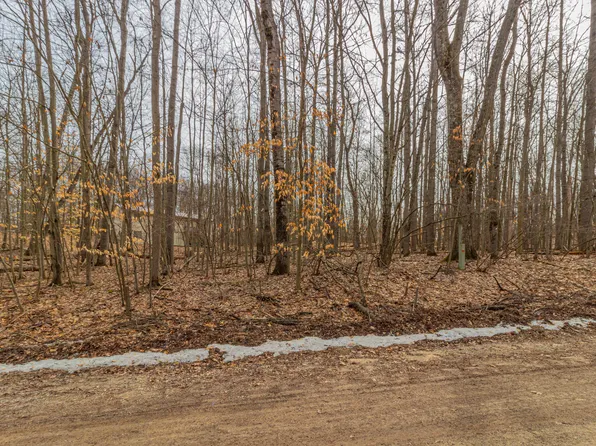 10082 Sante Fe Trl #94, Stanwood, MI 49346