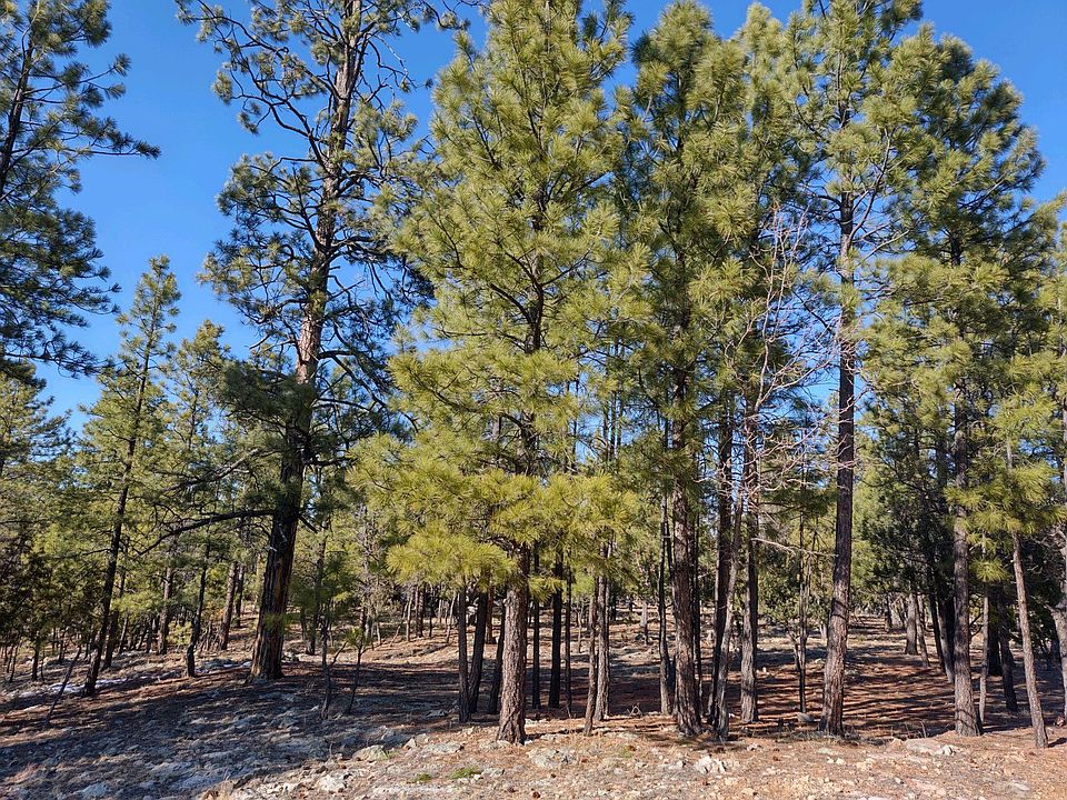 2nd image of 2920 Eagle Ridge Cir