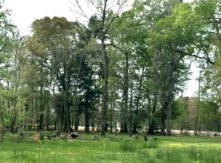 10978 Carol Lynn Rd, Denham Springs, LA 70726