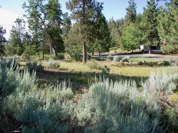 Murrelet Rd Lot 727, Klamath Falls, OR 97601