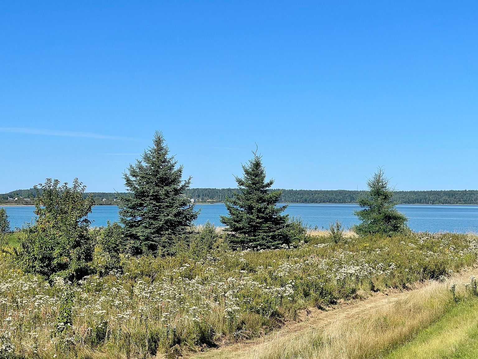 146 South Lubec Road Lot 7A1, Lubec, ME 04652 MLS 1544482 Zillow