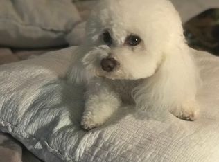 940 Marsh Ct, Reno, NV 89509