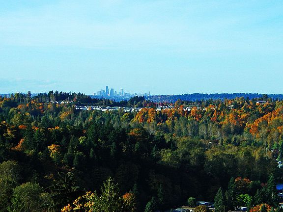 Autum City View