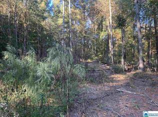 0 Evergreen Rd LOT 1, Springville, AL 35146