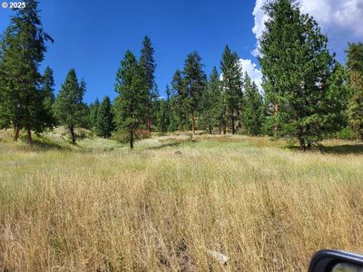 Middle Fork Ln, Bates, OR, 97817