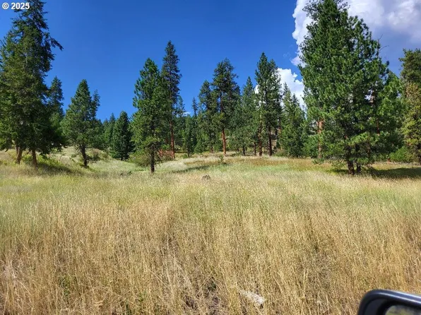 Middle Fork Ln, Bates, OR 97817