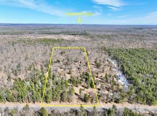 95 Warfield Rd, Wellston, MI 49689