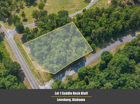 LOT 1 County Road 674, Leesburg, AL 35983
