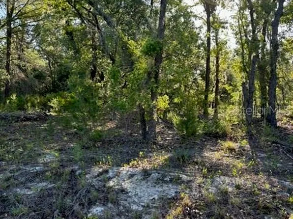 Malauka Trl #4, Ocklawaha, FL 32179
