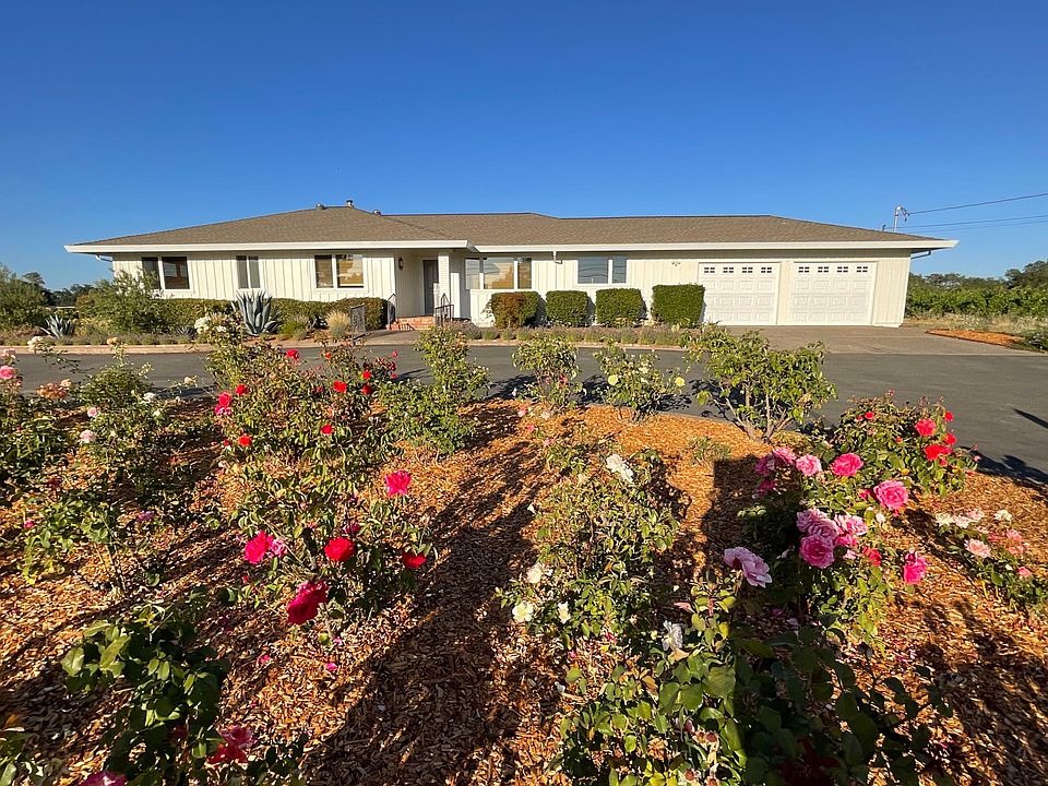 Front of the house with rose garden