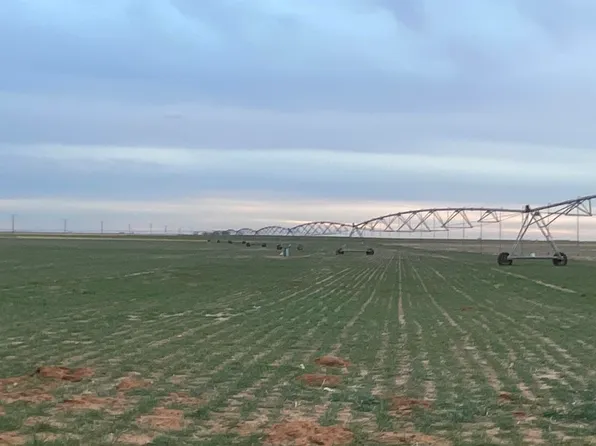 State Highway 83 E, Loop, TX 79342