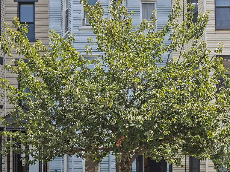 1196 Greene Ave #2 — Photo 9