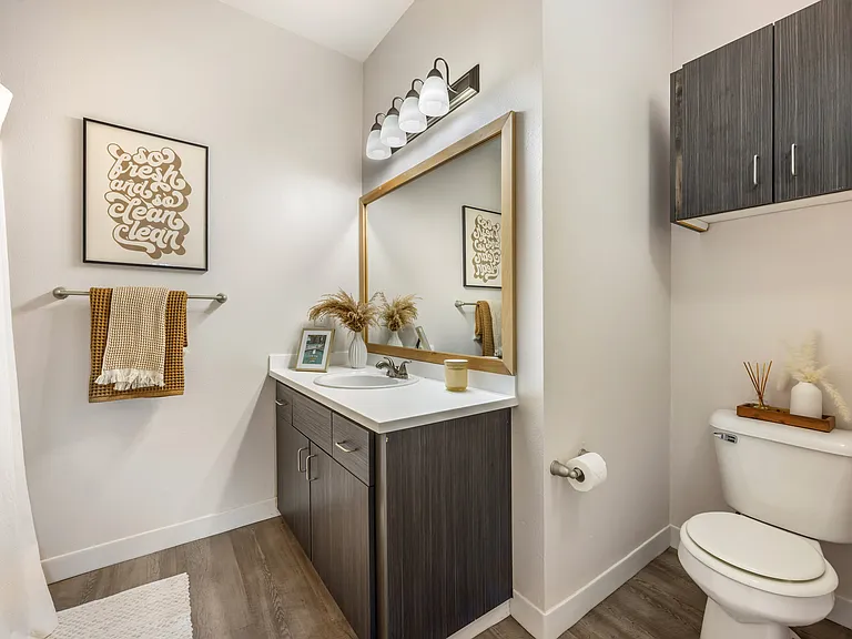 Model Primary Bathroom
