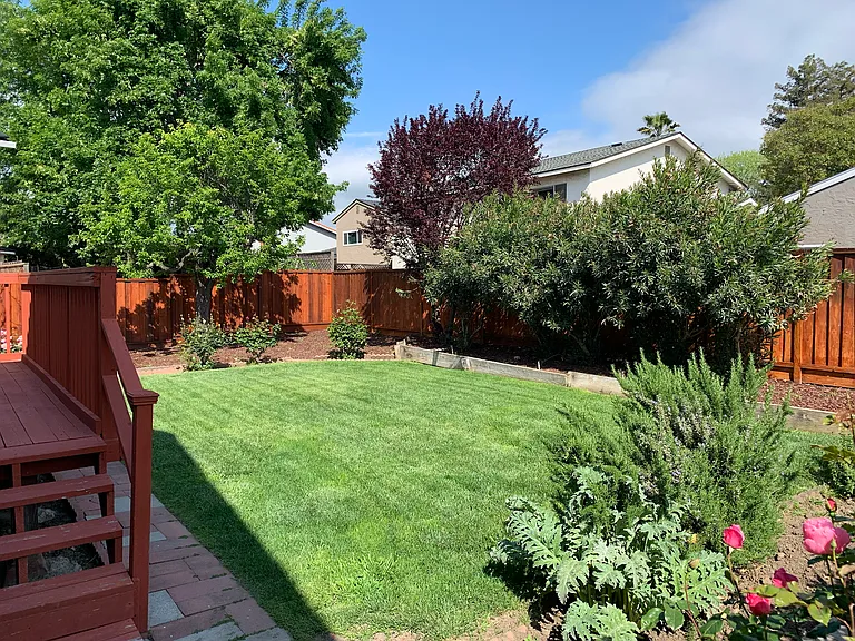 Purple Glen Dr — Photo 20