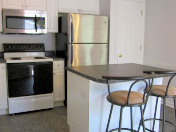 Stainless refrigerator stays