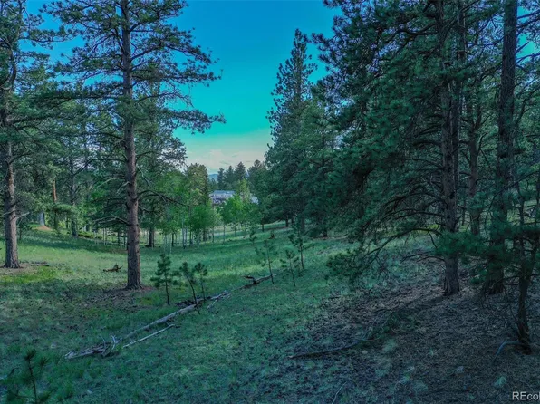 126 Kiowa Way LOT 136, Florissant, CO 80816