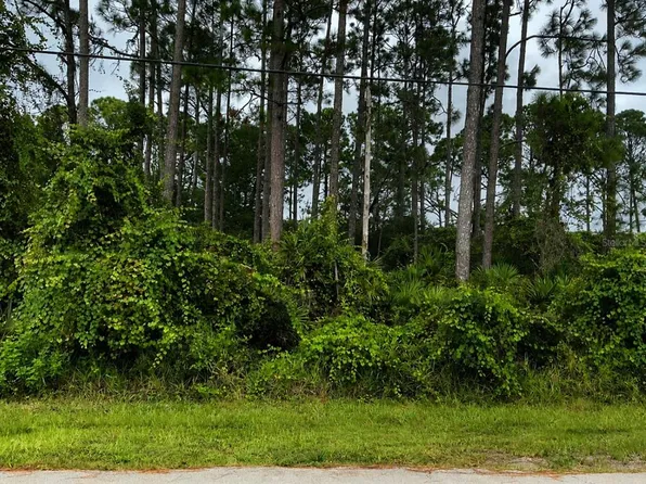 191 BOULDER ROCK DRIVE LOT 81, PALM COAST, FL 32137