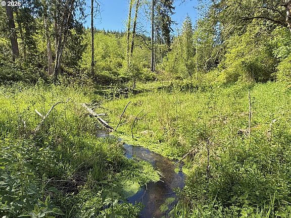 4th image of 73000 Clatskanie Heights Rd