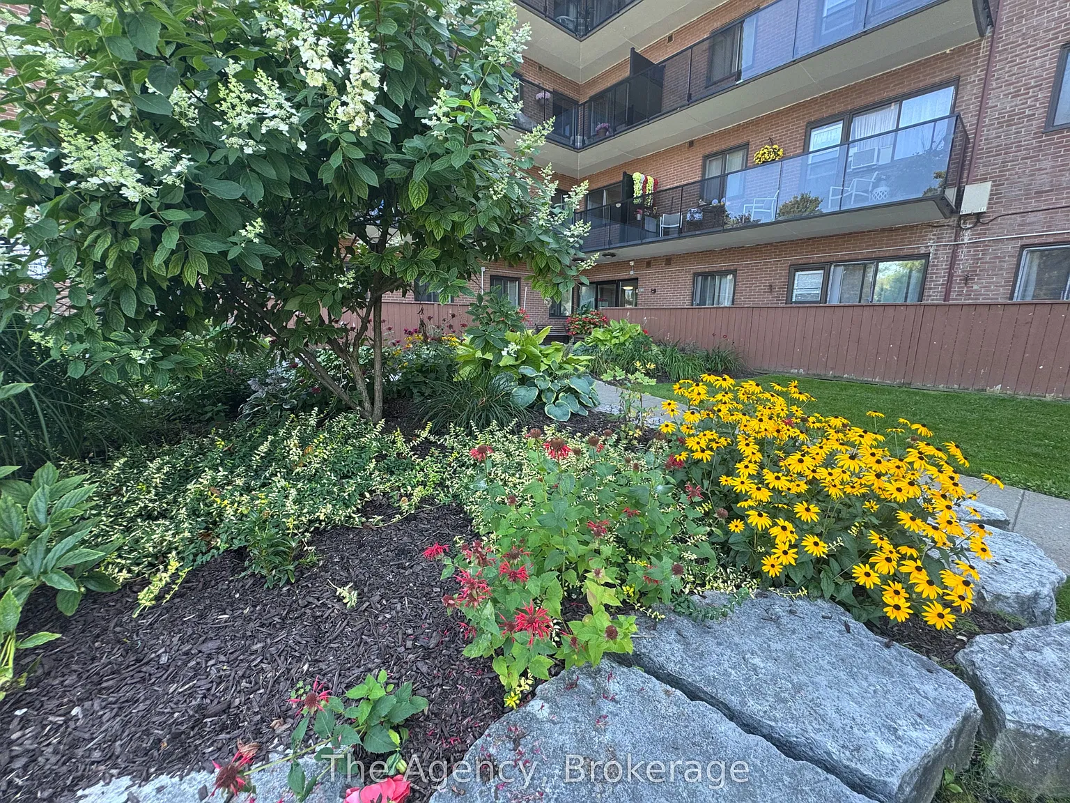 2 bed, $2,295 — Photo 2
