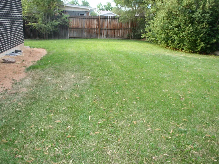 5310 Irving St — Photo 4