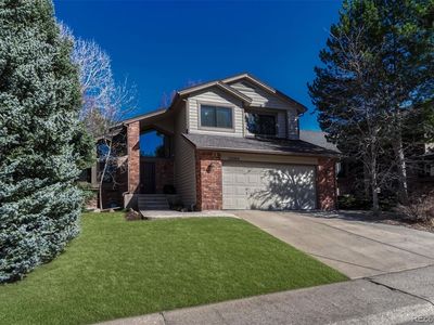 10084 Armadillo Drive, Lone Tree, CO, 80124