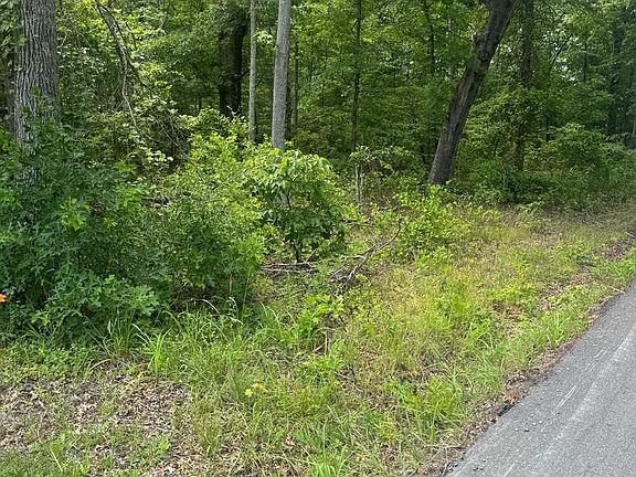 4th image of Mallard Rd