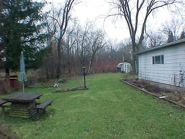 Back yard