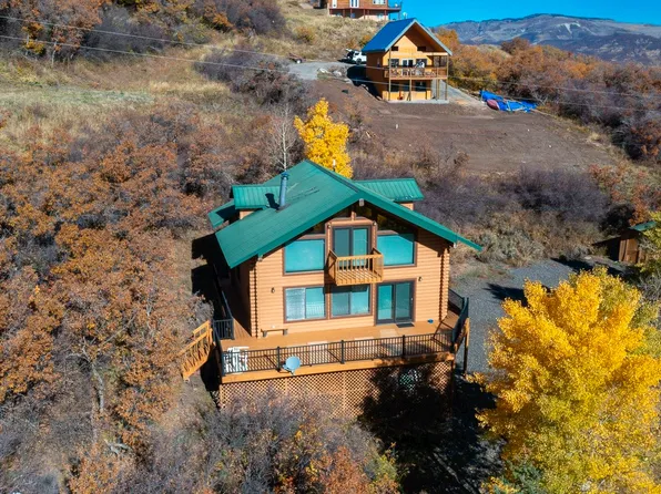 67950 Fawn Ct, Collbran, CO 81624