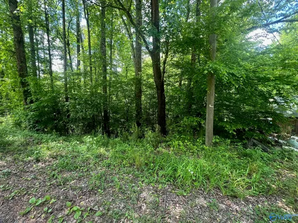 194 Sheffield Dr, Oneonta, AL 35121