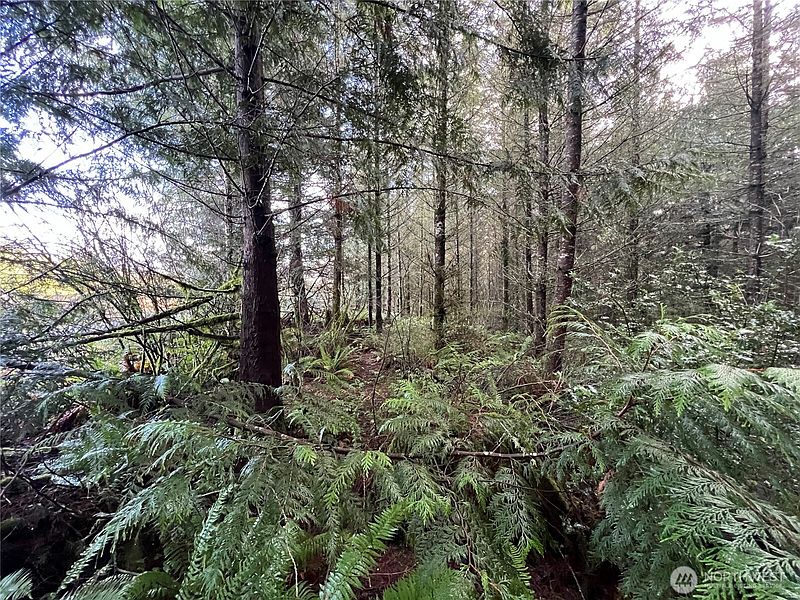 4th image of 1 xxx Snow Creek Road