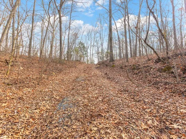 Percheron Dr NW, Dalton, GA 30720