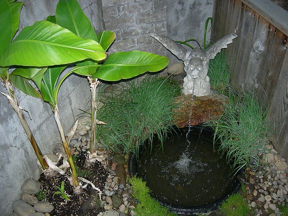 hidden fountain and banana trees!