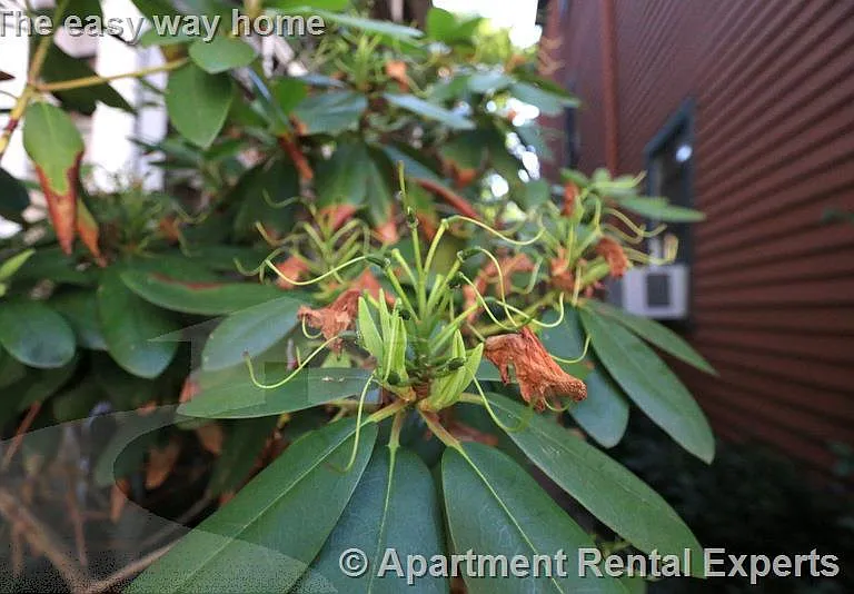 400 Franklin St #4 — Photo 11