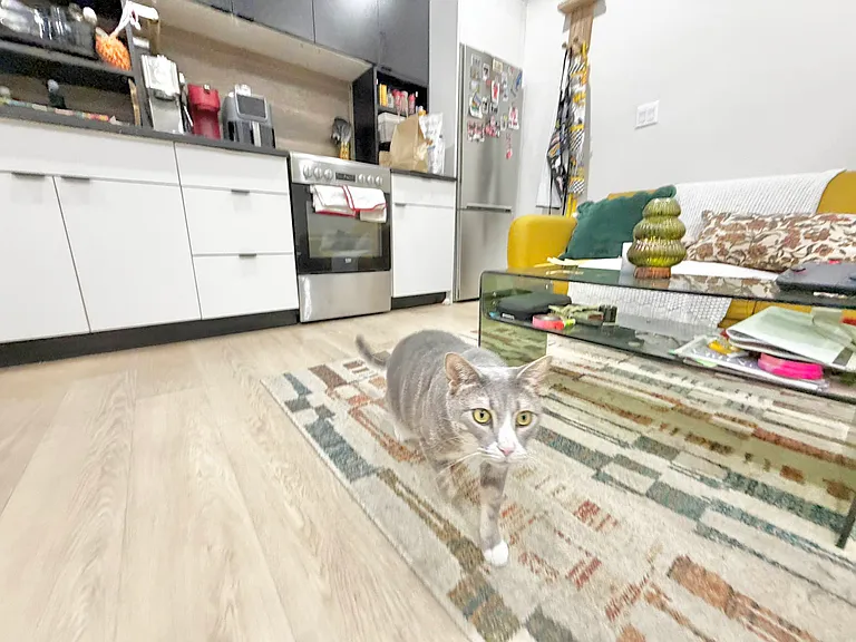 727 Dekalb Ave #3B — Photo 9