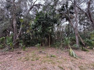 378 N Robin Hood Rd, Inverness, FL 34450