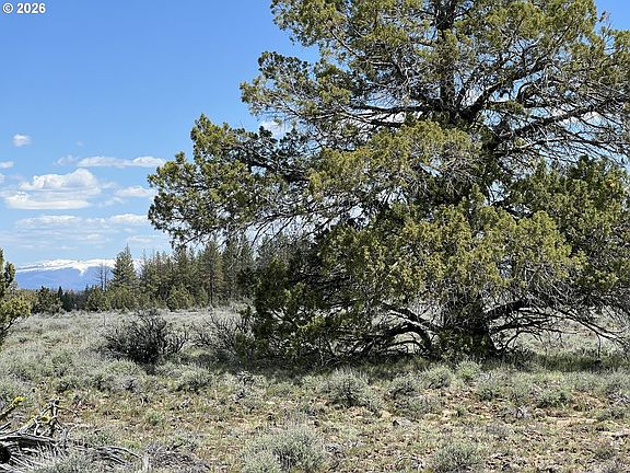 4th image of Wildpine Way #6