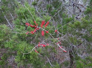 LOT 6 Lot 6 Other, Blanco, TX 78606