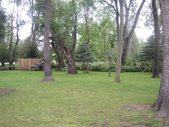 BACKYARD LOOKING BACK