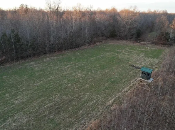 0 Tuller Rd, Stonefort, IL 62987