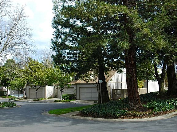 like living in a park