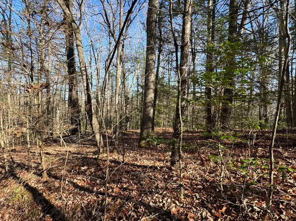 22&23 Mill Creek Acre, Blue Ridge, GA 30513