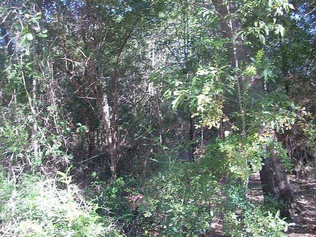 1st image of 6682 Trammel Dr