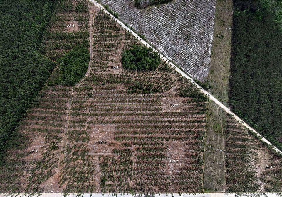 2nd image of 3000 Buck Swamp Rd